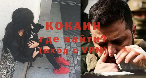 мет Алексин