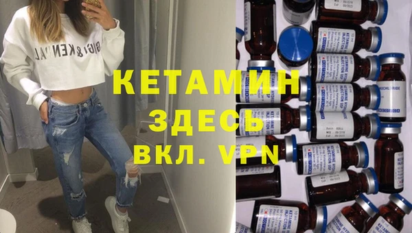 мет Алексин