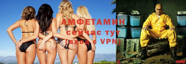 мет Алексин